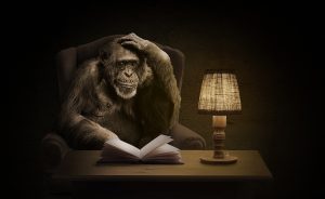 Gorilla sitzt in grüblerischer Haltung vor altem Buch